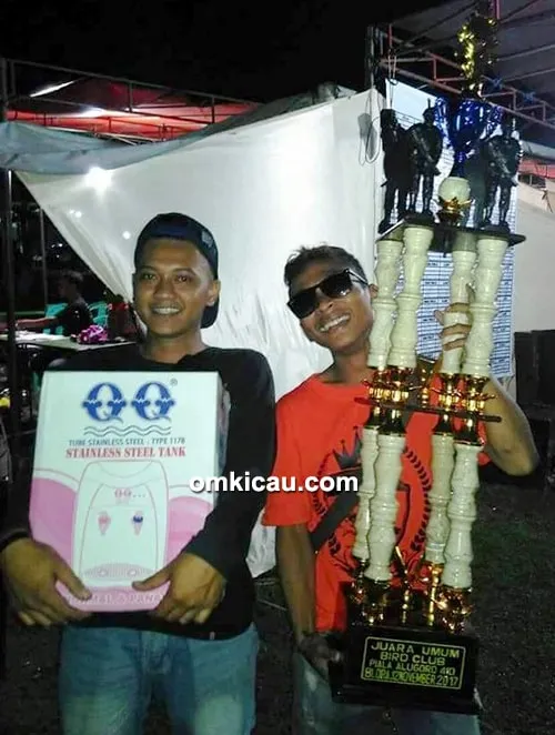 cucak ijo Bacan Doko