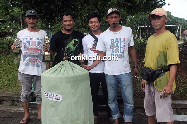 murai batu Anak Emas murai batu Anak Emas