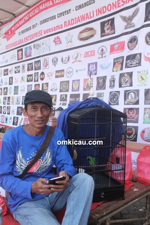Cucak ijo Anak LP