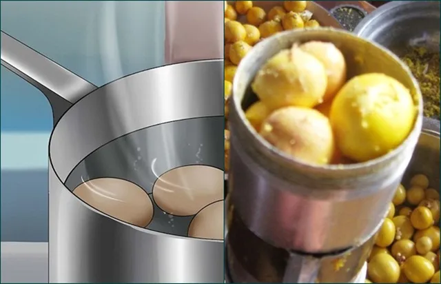 tepung kuning telur untuk burung kicauan tepung kuning telur untuk burung kicauan