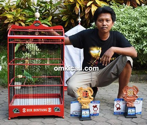 cucak ijo Bir Bintang
