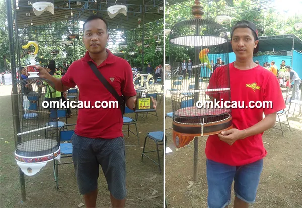 hasil lomba burung