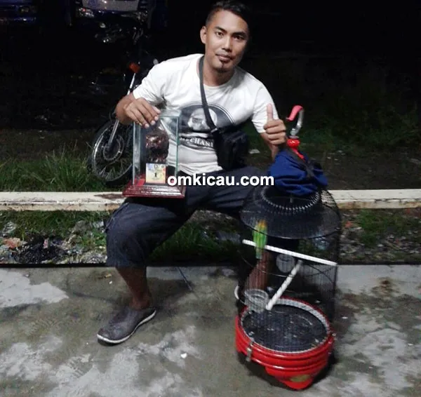 Lovebird Bopeng lovebird Bopeng