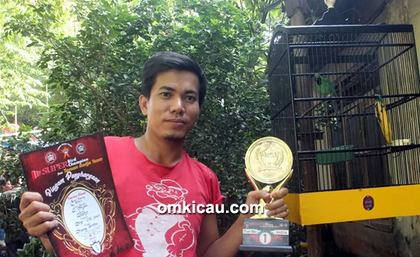 Cucak ijo Cakil