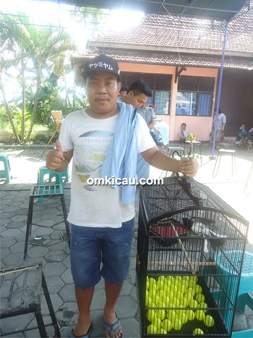 lomba burung di Kudus