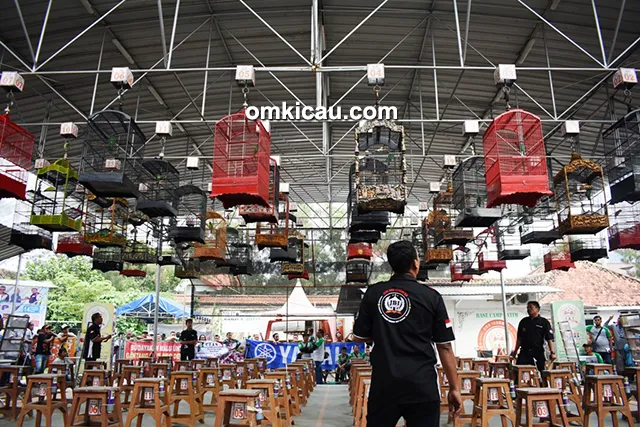 LBB Team Cup V