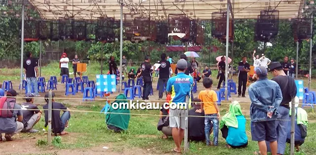 hasil lomba burung
