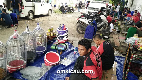 Sangkar kotak produksi BBF Bogor