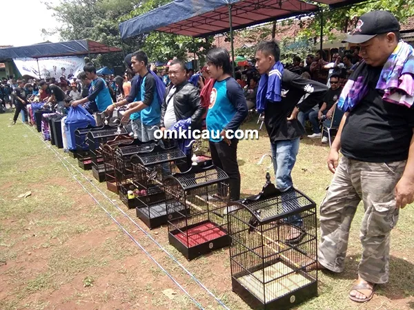 Pangkal Perjuangan Cup III