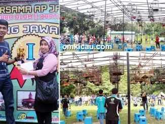 Anniversary 1th Pinky Mini Contest