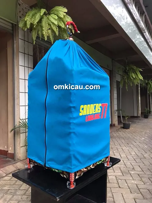 Sanders77 Lumajang