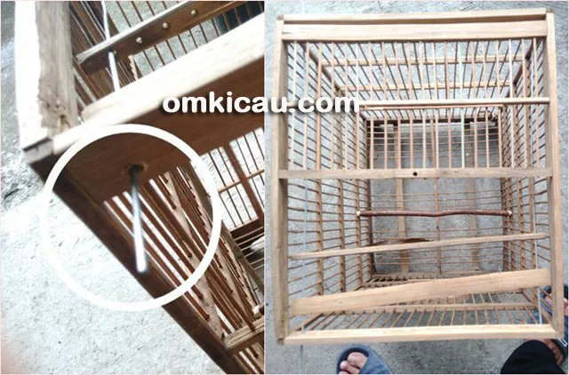 membuat kandang jebakan membuat kandang jebakan