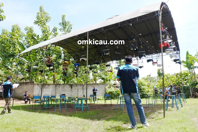 Latpres Blora Utara BC Penjurian Kelas Lovebird