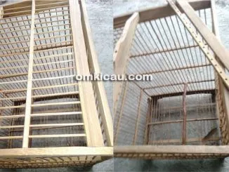 Memotong jeruji di bagian atas sangkar