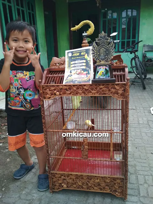 cara merawat burung kenari
