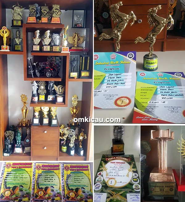 murai batu jawara