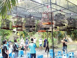 Mini Contest Spesial Imlek