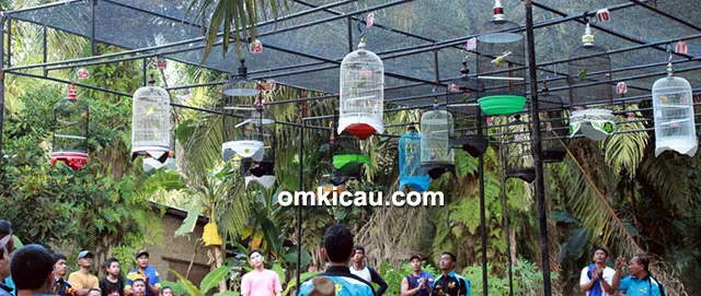 Mini Contest Spesial Imlek Mini Contest Spesial Imlek