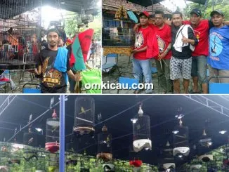 An-Noor Bird Competition