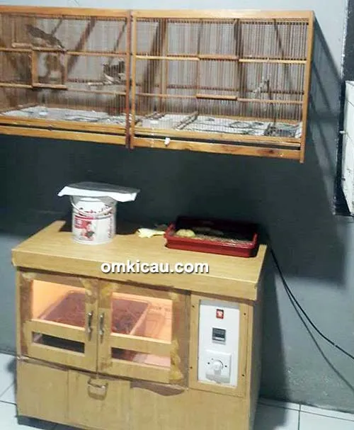 Ruang inkubator