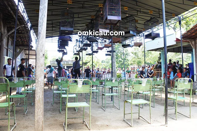 lomba burung di Grobogan