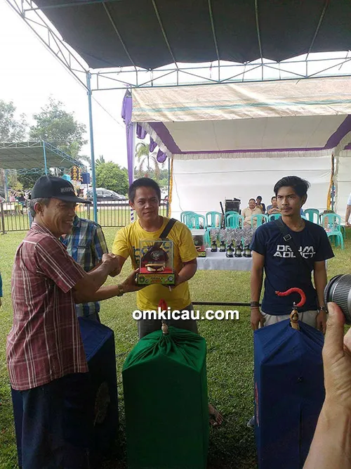 kacer jawara