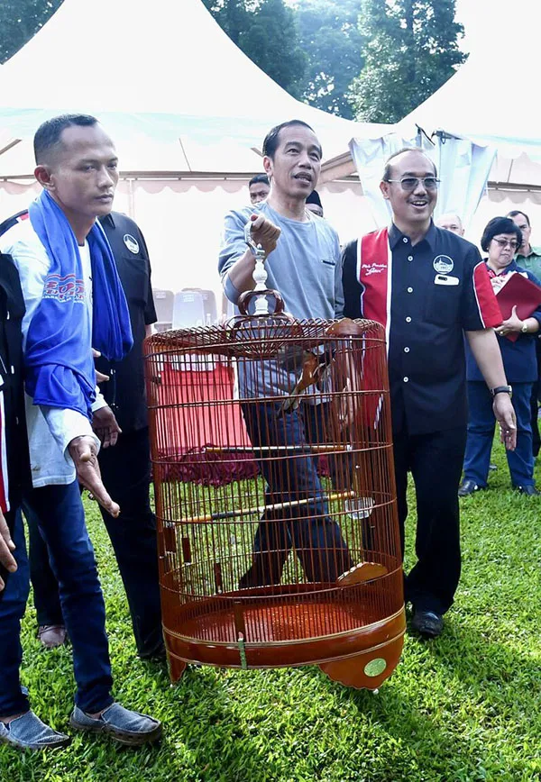 Piala Presiden Jokowi Piala Presiden Jokowi