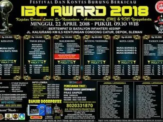 IBC Award 2018