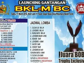 BKL-M BC