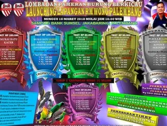 Launching Lapangan RM Wong Palembang