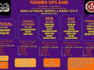 Semi Latpres Shama Splash