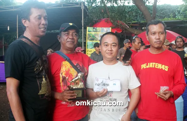 Ansel Pejaten 45 SF