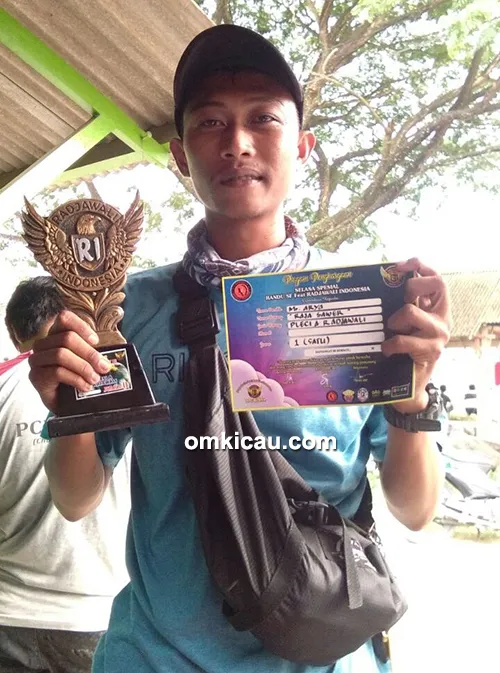 pleci Raja Sawer
