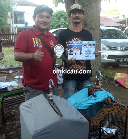 cucak ijo Si Boy