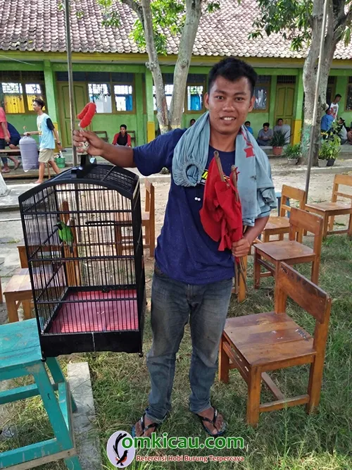 cucak ijo Si Otong