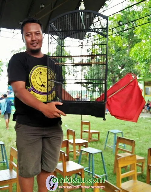 kenari Setan Alas