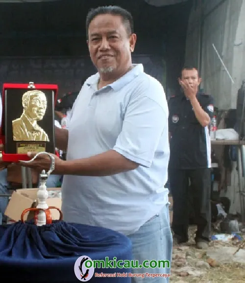 murai batu Anak Muda