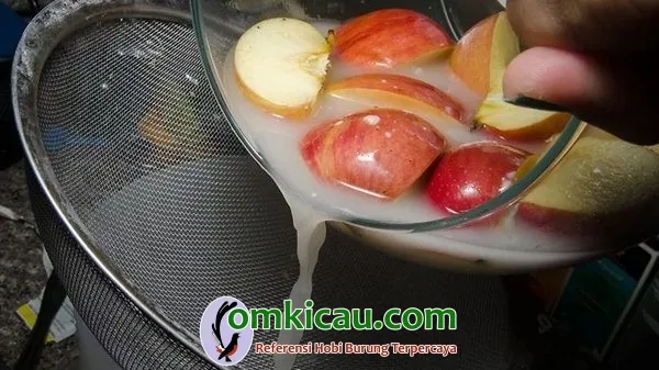 minuman kesehatan untuk burung Cuka apel disaring
