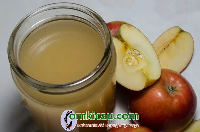 minuman kesehatan untuk burung minuman kesehatan untuk burung
