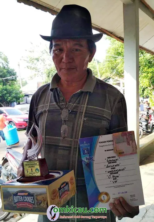 cucak ijo Salsabila