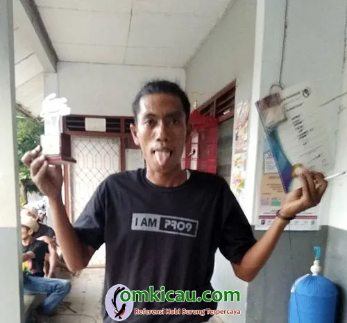 cucak ijo Minato