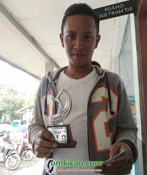 cucak jenggot Dea Imut