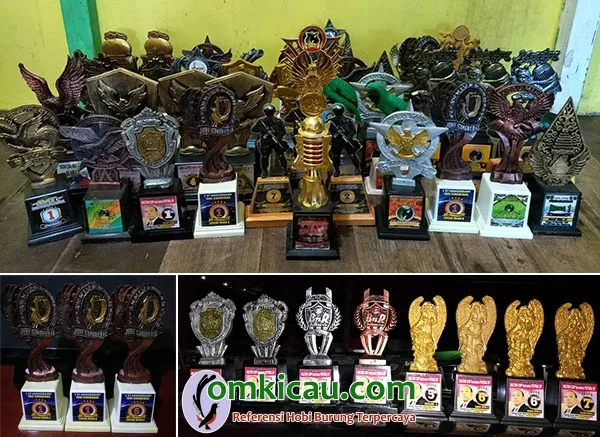 cucak ijo jawara