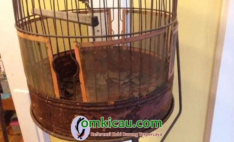 menghilangkan karat pada sangkar burung Sangkar Karatan