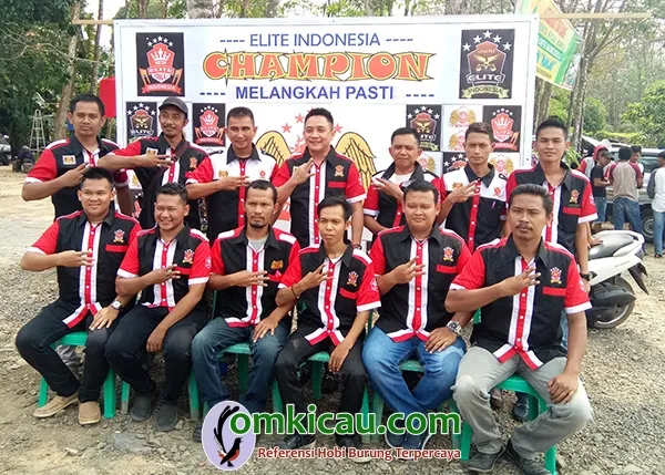 hasil lomba burung