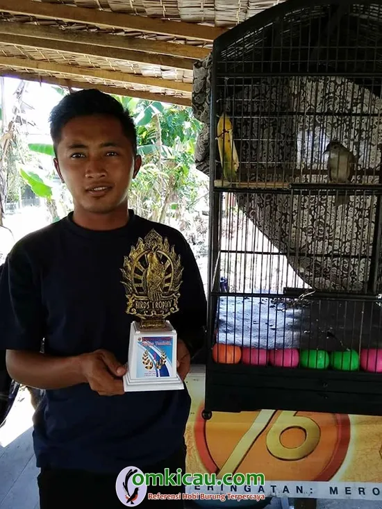 perawatan kapas tembak