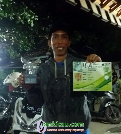 Kebo Hitam SF