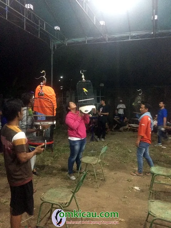 Duta Andromeda