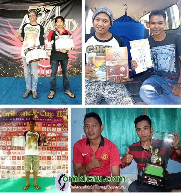 murai batu Boy
