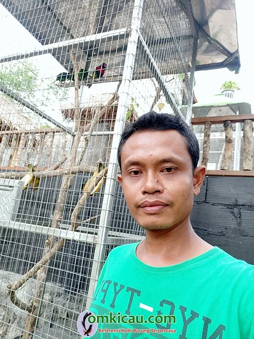 beternak burung